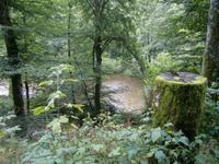 Luxemburg - für Genießer und Wanderfreunde