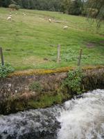 Luxemburg - für Genießer und Wanderfreunde