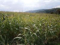 Luxemburg - für Genießer und Wanderfreunde