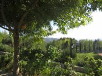 Garten hinter dem Hotel 