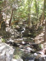 Wanderung zu Kalydona-Wasserfällen