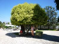 07.09.2013 Masseria Salinola bei Ostuni