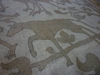 09.09.2013 Otranto, Fußbodenmosaik in der Kathedrale