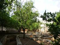 10.09.2013 Masseria Priore, Garten