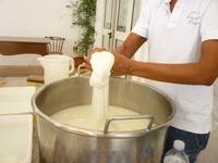 10.09.2013 Masseria Priore, Herstellung von Mozarella