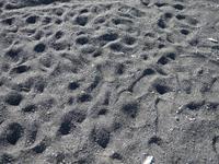 075_Strand mit Basaltsäulen