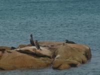 bei der Strandwanderung Costa Smeralda 