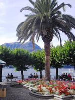 In Bellagio am Comer See