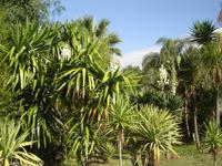 048 Botanischer Garten