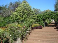 153 Blandy-Garten