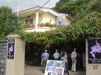 161 Orchideen-Garten