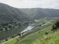 Moselblick