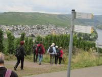 Weg nach Trittenheim