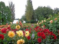 Die Pracht geht weiter