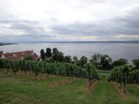 Blick von der Wallfahrtskirche auf den Bodensee