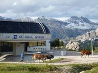 Impressionen am Plattkofel