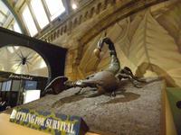 Natural History Museum