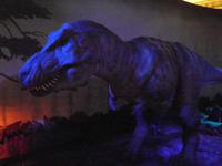 Natural History Museum