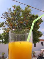 Frisch gepresster Orangensaft