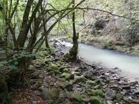 unterwegs in Zeleni Vir