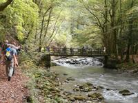 unterwegs in Zeleni Vir