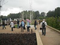 Garten- schwarz -weis