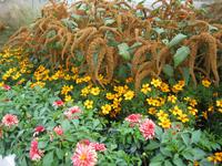 Herbstpflanzung