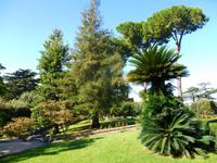 Vatikanische Gärten