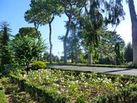 Vatikanische Gärten