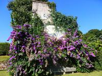 Vatikanische Gärten