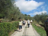 Kochkurs in Frassine - Anmarsch