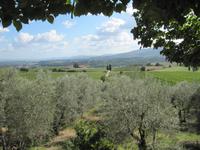 Kochkurs in Frassine