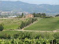 Weinverkostung beim Weinbauern Montaioncino 