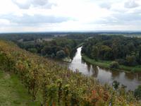 Bei Melnik mündet auch die Moldau in die Elbe (Labe).