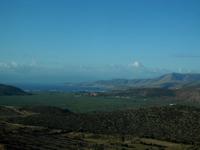 Blick auf den Olivenhain von Deilphi