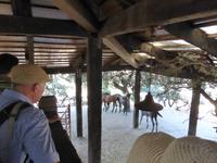 Ankunft in der Finca Rural Los Pastores in Ronda 