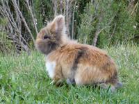 unser Mitbewohner auf der Finca Rural Los Pastores 