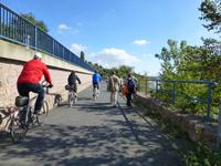 auf dem Elberadweg gehts zurück zum Ausgangspunkt