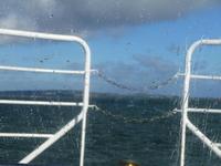 stürmische Wellen...