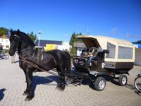 Verkehrsmittel auf Hiddensee