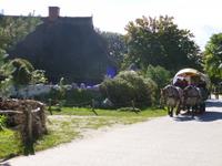 Hiddensee