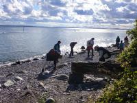 wer findet den Hühnergott