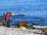 Anke sucht und sucht...