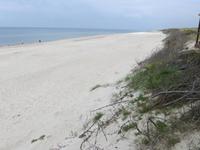 Ostseestrand auf der Kurischen Nerung