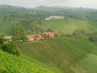Steirische Weinstraße