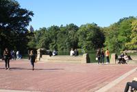 0099 Central Park