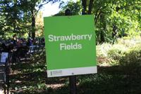 0104 Strawberry Fields im Central Park