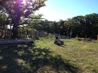 0426 Plimoth Plantation