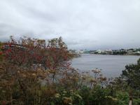 0461 Indian Summer in Ost-Kanada