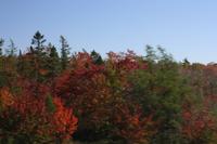 0535 Indian Summer in Nova Scotia